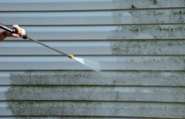Best Roof Washing  in Rochelle, GA